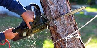 Mulching Services in Bangor Base, WA