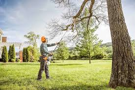 Best Lawn Renovation and Restoration  in Bangor Base, WA