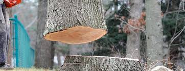 Best Emergency Tree Removal  in Bangor Base, WA